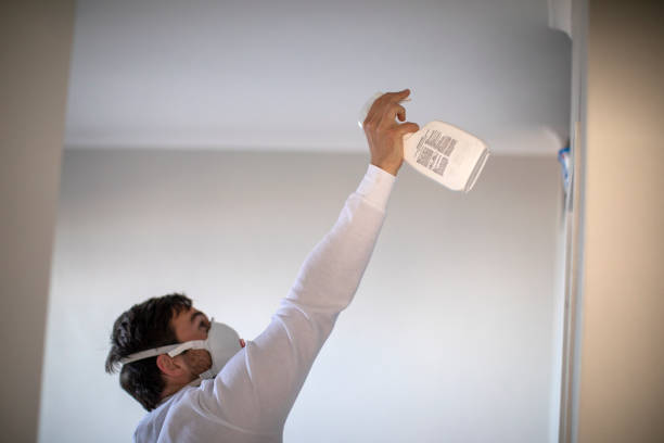 Best Attic Mold Remediation in Bear Creek Ranch, TX