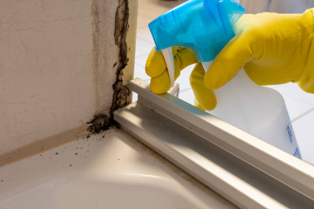 Best Crawl Space Mold Remediation in Bear Creek Ranch, TX