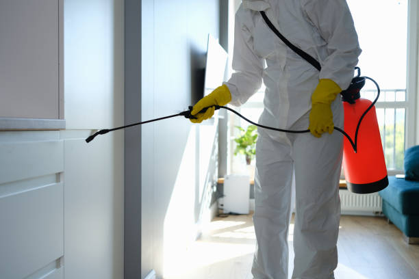 Professional Mold Remediation in Bear Creek Ranch, TX