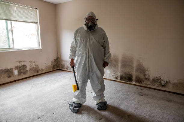 Best Industrial Mold Remediation in Bear Creek Ranch, TX